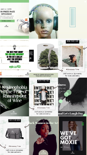 Twelve original Voxie posts including giveaways, fashion, visual humour and the bold headline We’ve Got Moxie.