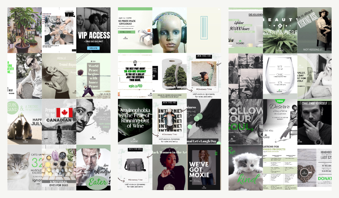 A selection of original Voxie social creative designed and written by Tara O’Doherty.